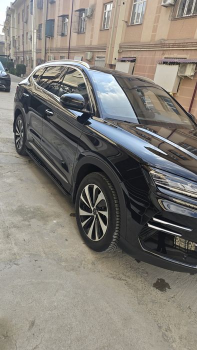 Бивайди чимпион гибрид