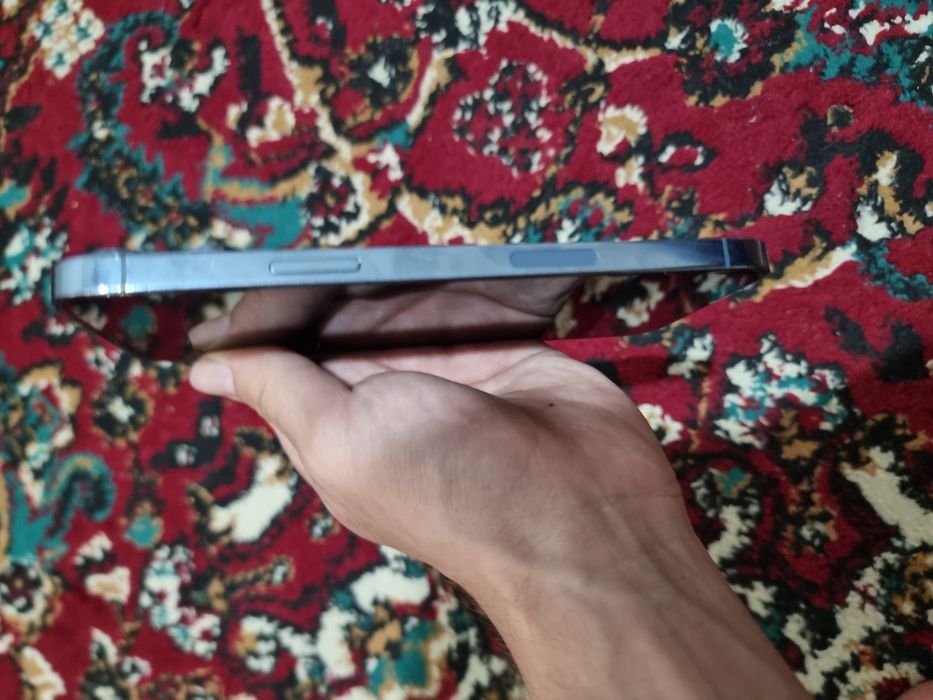 Iphone 13 Pro Max 256gb