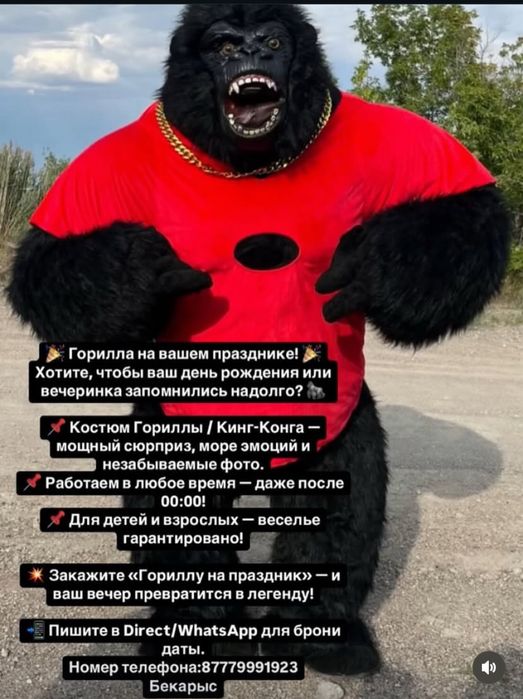 Надувной костюм