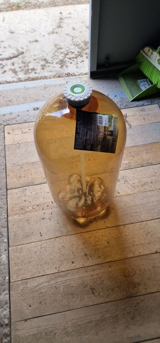 Пластиковая кега