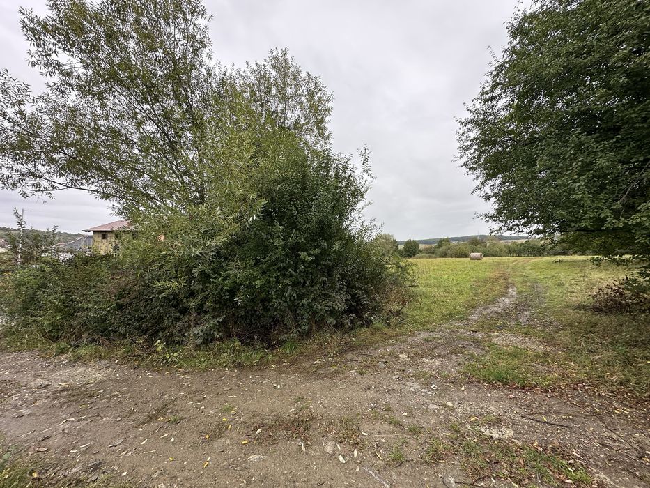 Teren intravilan 5.017 mp in Cisnadie, Sibiu