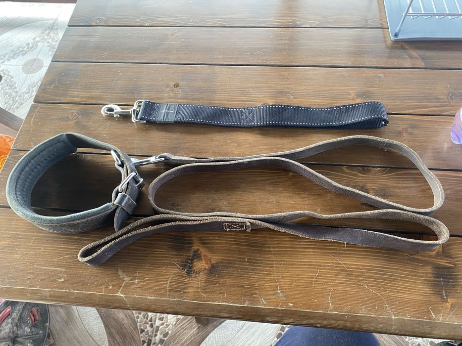 Zgarda si lesa caini talie mare