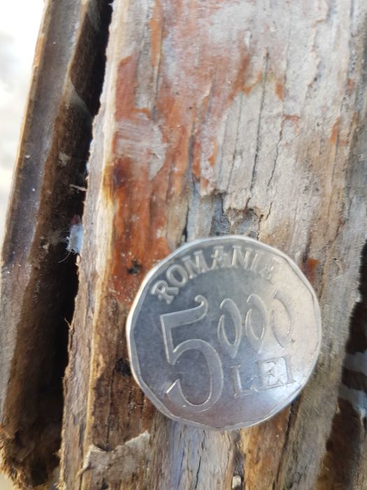 Monede vechi bani vechi