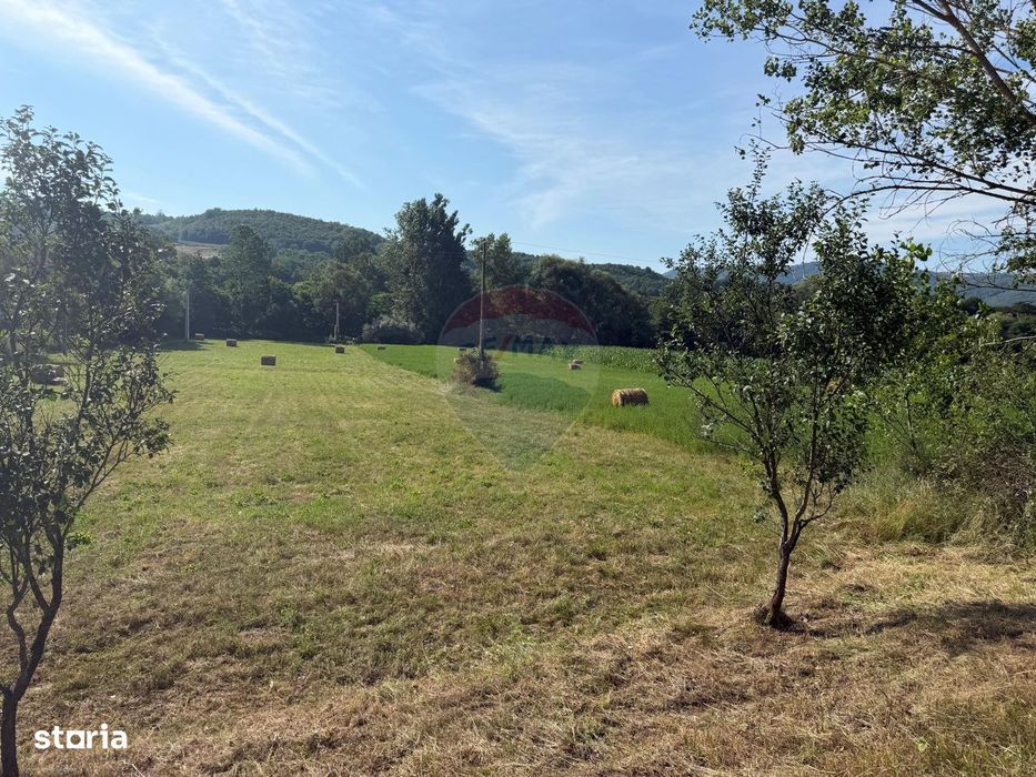 Teren in Berinta la Drumul Principal