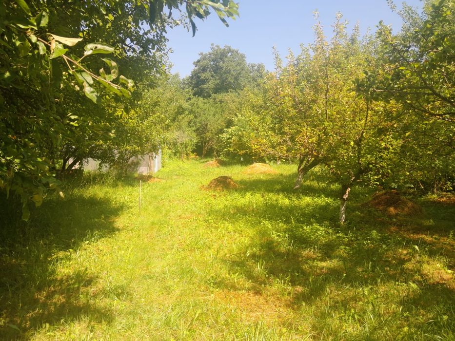 Teren intravilan 2000m2 proprietar - Prahova CORNU DE JOS centru