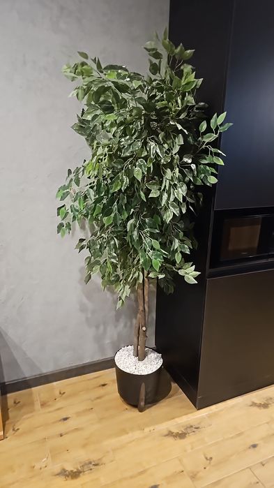 Проспект Назарбаева 1/3