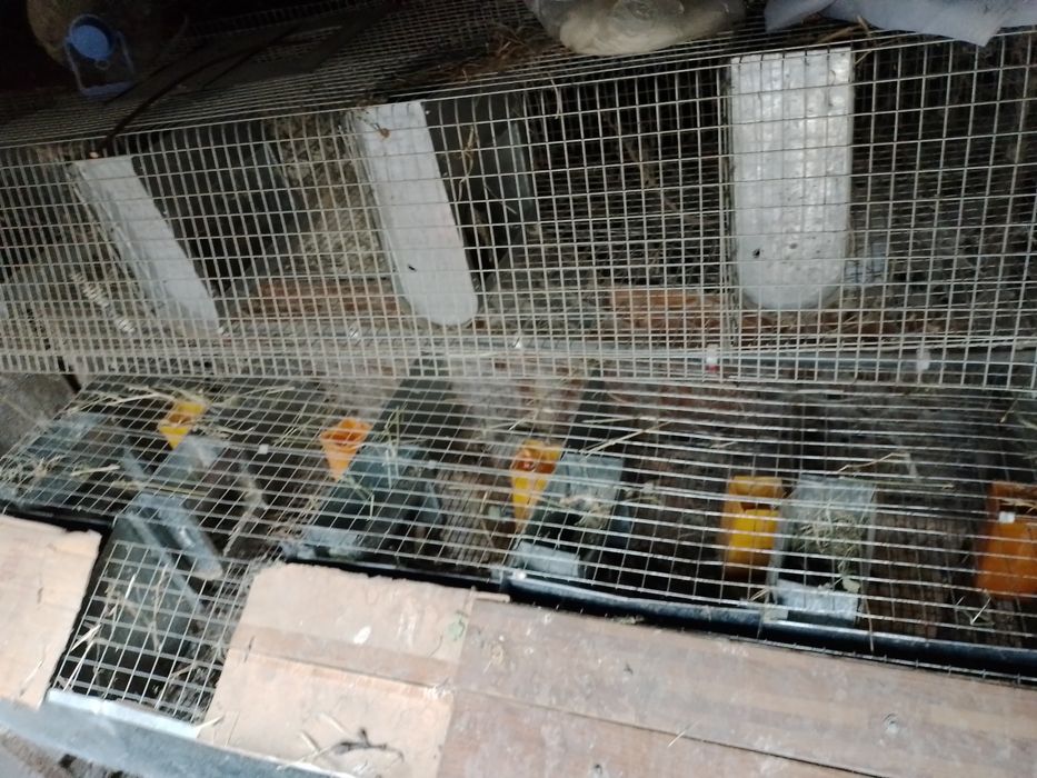 Нержавеющая клетка для кроликов