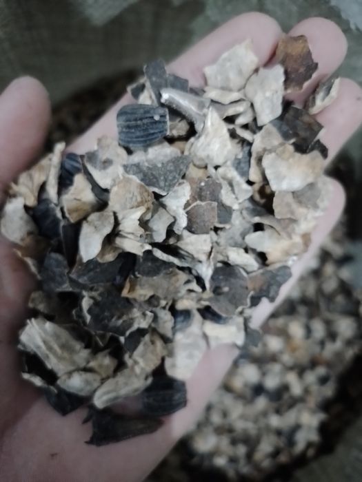 Отход от семечки