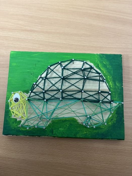 Broscuta testoasa String art