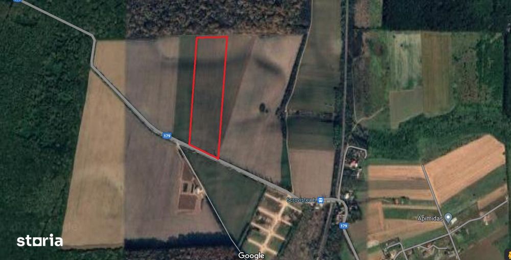 Scroviștea, Intravilan, 3,5 Ha – 75 Ml Front Stradal + 75 Ml La Pădure