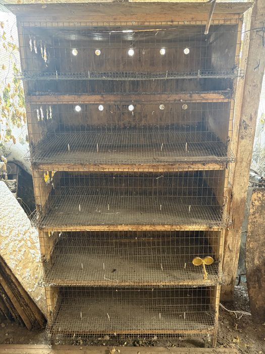 продается клетки для перепелов