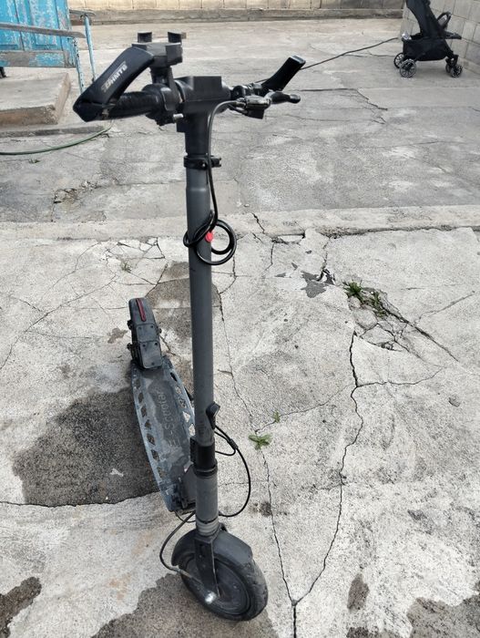 Порода электросамокат