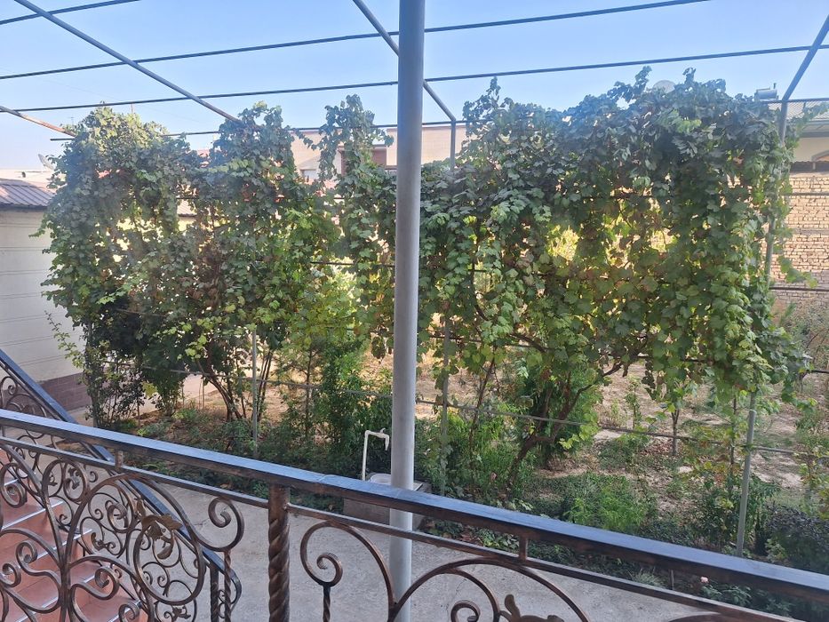 Иззада Участка сотилади 6 сотих