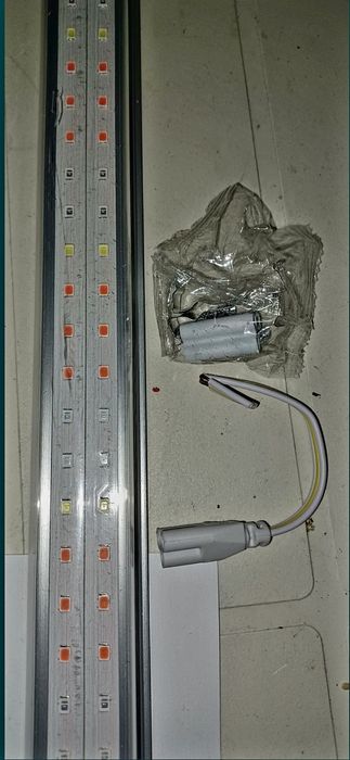 Фито Лампа,Разсад,Лампа