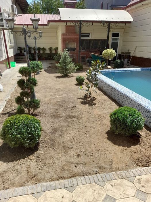 Tanlov sizdan landshaft-manzara bizdan