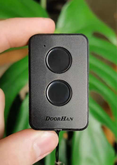 Пульт, кнопка, чип