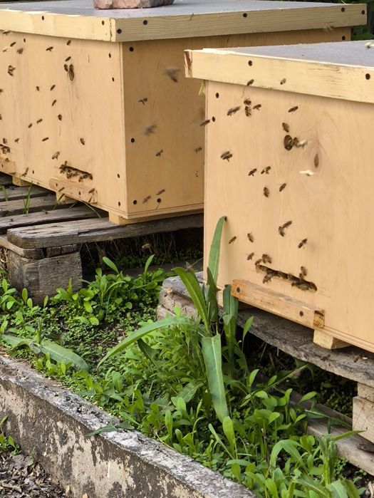 Детское питание натуральное