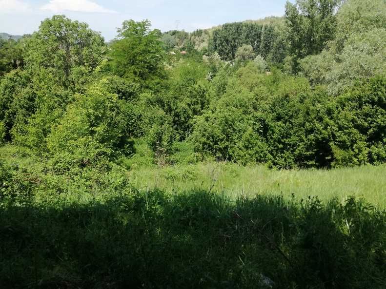 Casa cu teren 11414 mp ,  Vladimir-Andreesti , Jud.Gorj