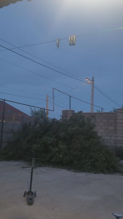 Ветки самовывоз срочно