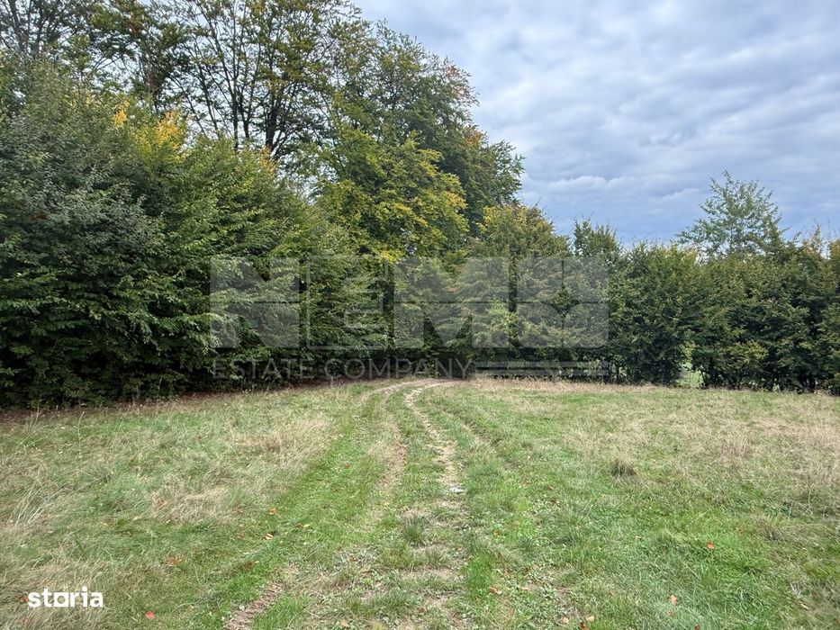 Teren de vânzare în Putna | 6.400 mp | 56 m front stradal