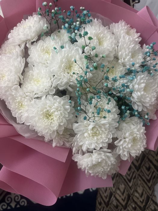 Продам цветы свежий