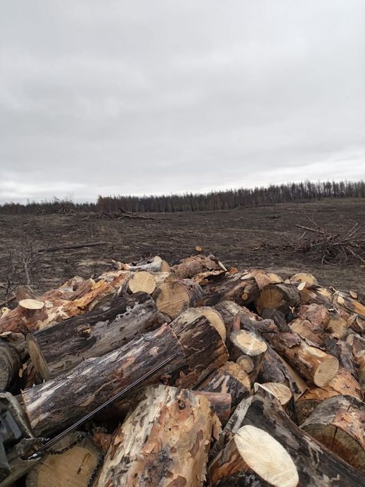 Дрова швырок доставка