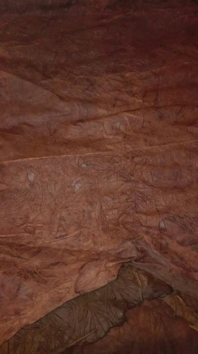 Продавам свинска кожа