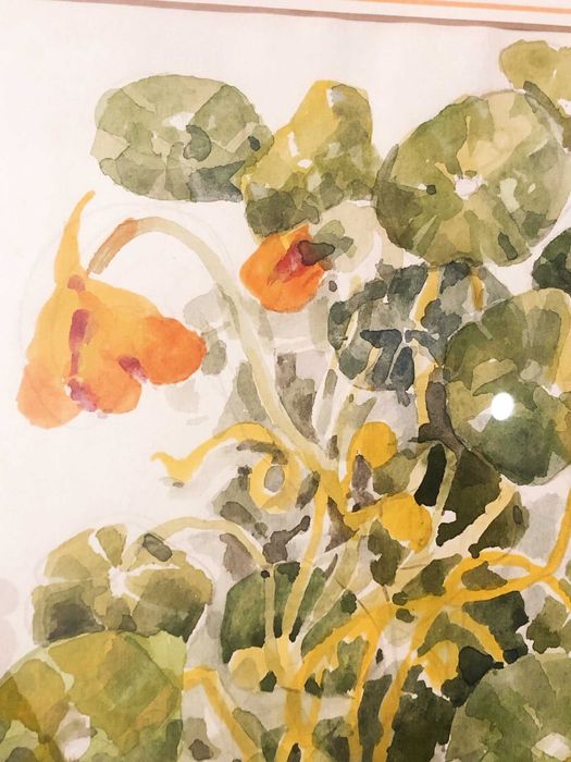 Acuarelă originală de Edit Petrivna Reprinzeva, Thunbergia