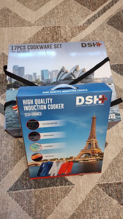 Set profesional vase de gătit și plită inducție DSH