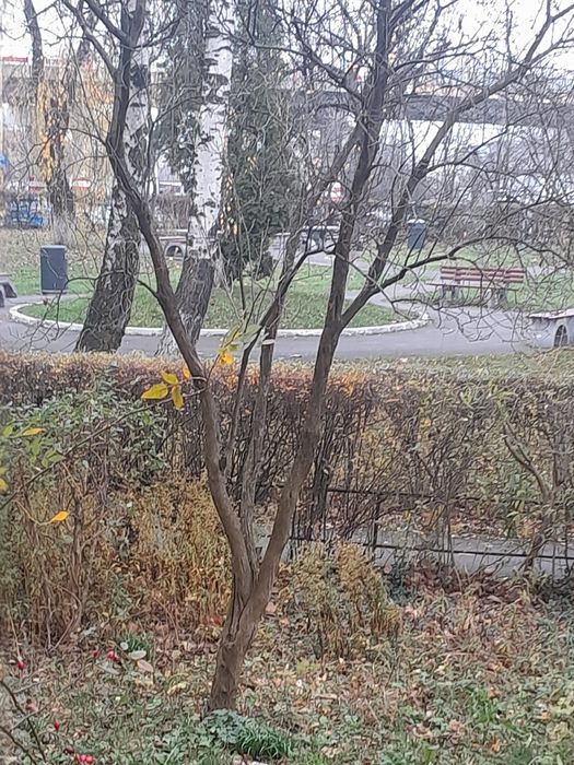 Vând garsonieră tip premium zonă centrală