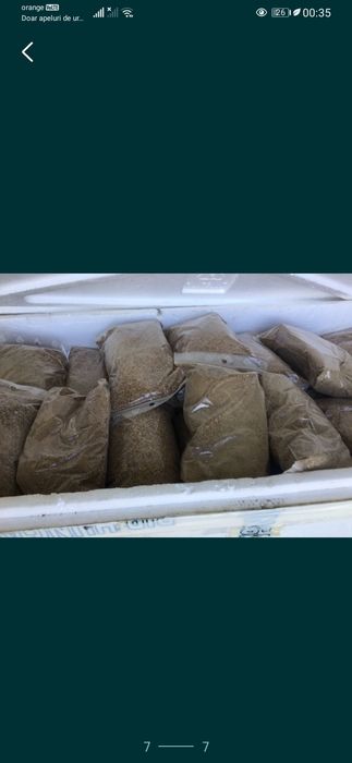 Hrana pesti de orice tip la kg.