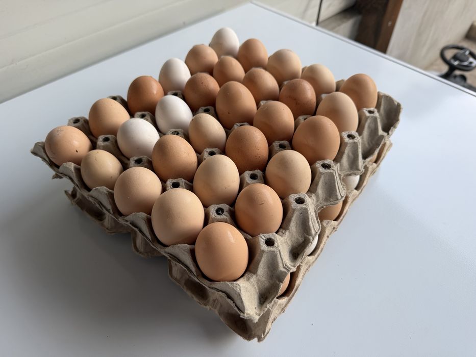 Яйца от Домашни кокошки