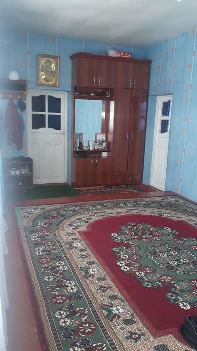 Hovli 8 sotix Navoiyda