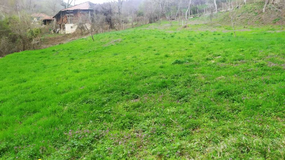 Продава се Парцел в с. Войнежа, Област Велико Търново - 2167 кв.м за 7 €/кв.м - Снимка #1