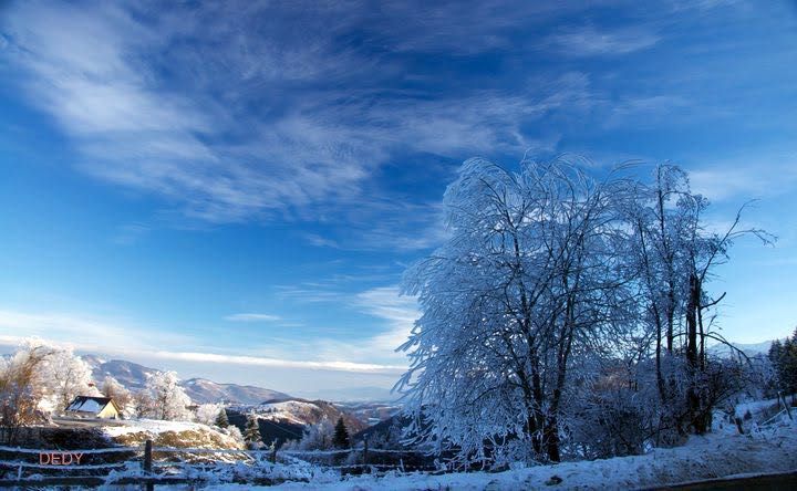 Casa mobilată-utilată D+P+E1+P. 4 cam. 300m2