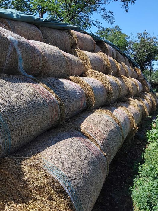 Vând Baloti LUCERNA