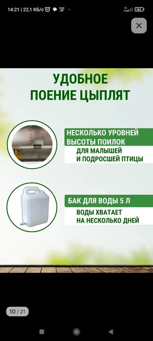 Браудер для цыплят