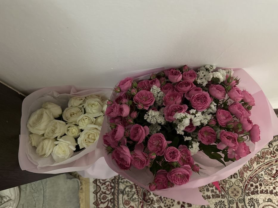 Цветы все свежые гулдер бүгінгі