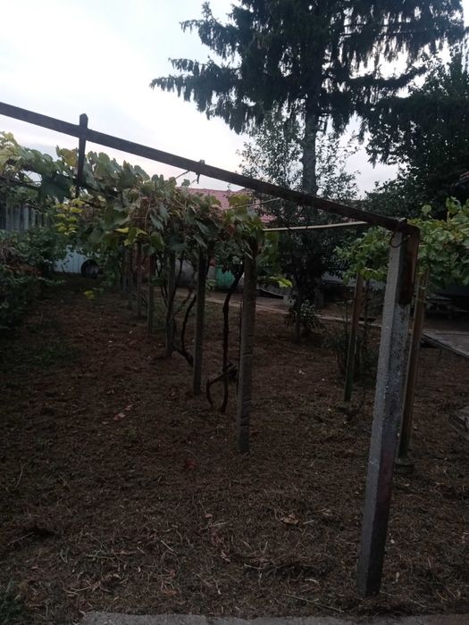 Продава се Къща в с. Ряхово, Област Русе - 90 кв.м за 234 €/кв.м - Снимка #8