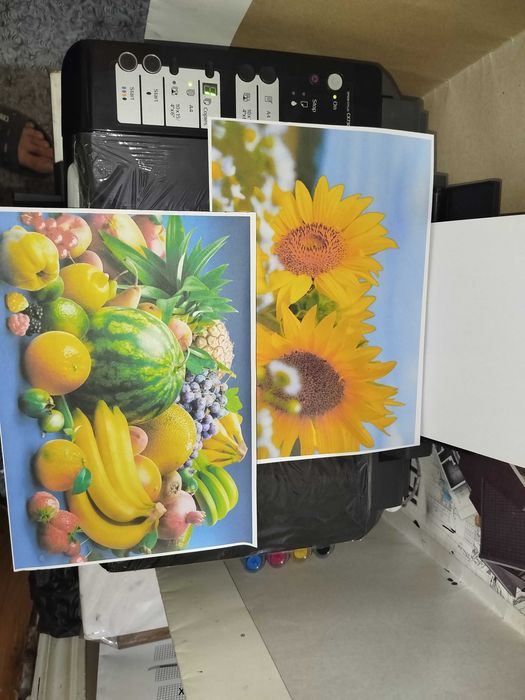 Epson CX7300 printer skaner kopiya