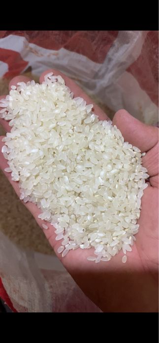 Рис. Лидер. Оптом. Кызылорда.