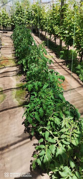 Собственик продава къща, цена 190000 евро.