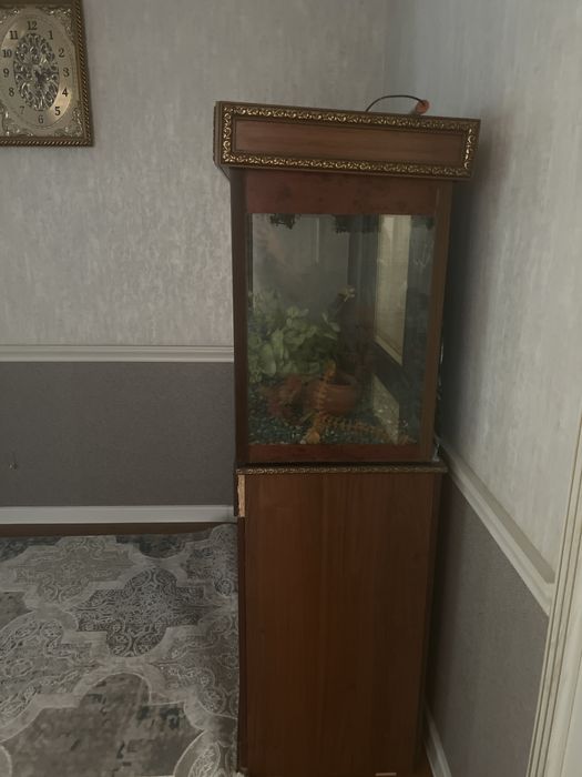 Аквариум для дома,офиса