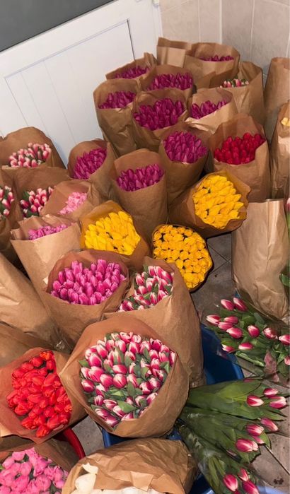 Продам тюльпаны в розницу к праздникам