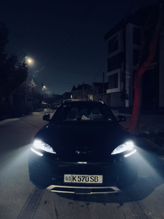 Byd chempion smart 2025