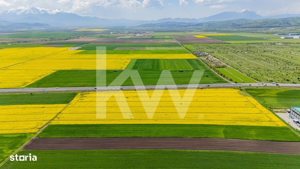 Teren 10.600 mp in Codlea – ideal pentru investitie industriala