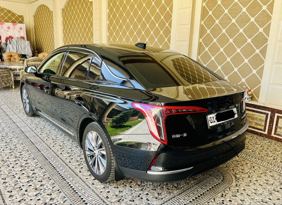 Hongqi E-QM5  Kraska Tozza 100%
