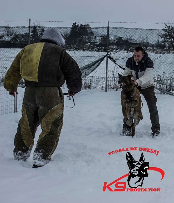 Scoala de Dresaj si Pensiunea Canina  K9Protection