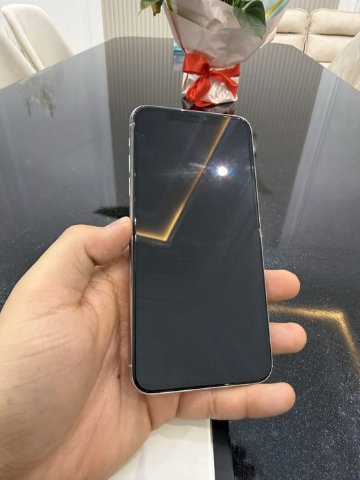 iPhone 11 pro max 256 Gb