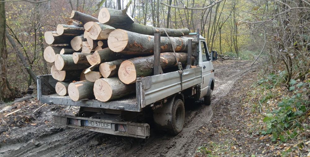 Lemn foc Fag ! Adus la domiciliu! Tot județul Hunedoara!